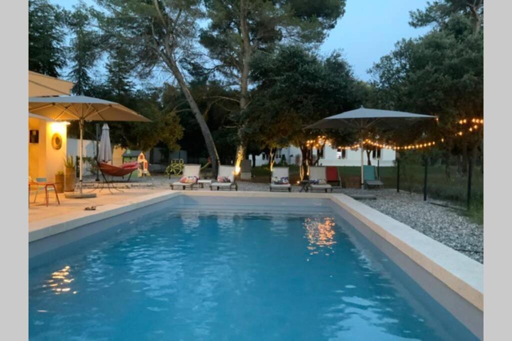 Gite Dans Les Pins Avec Piscine Villa Mazan Esterno foto