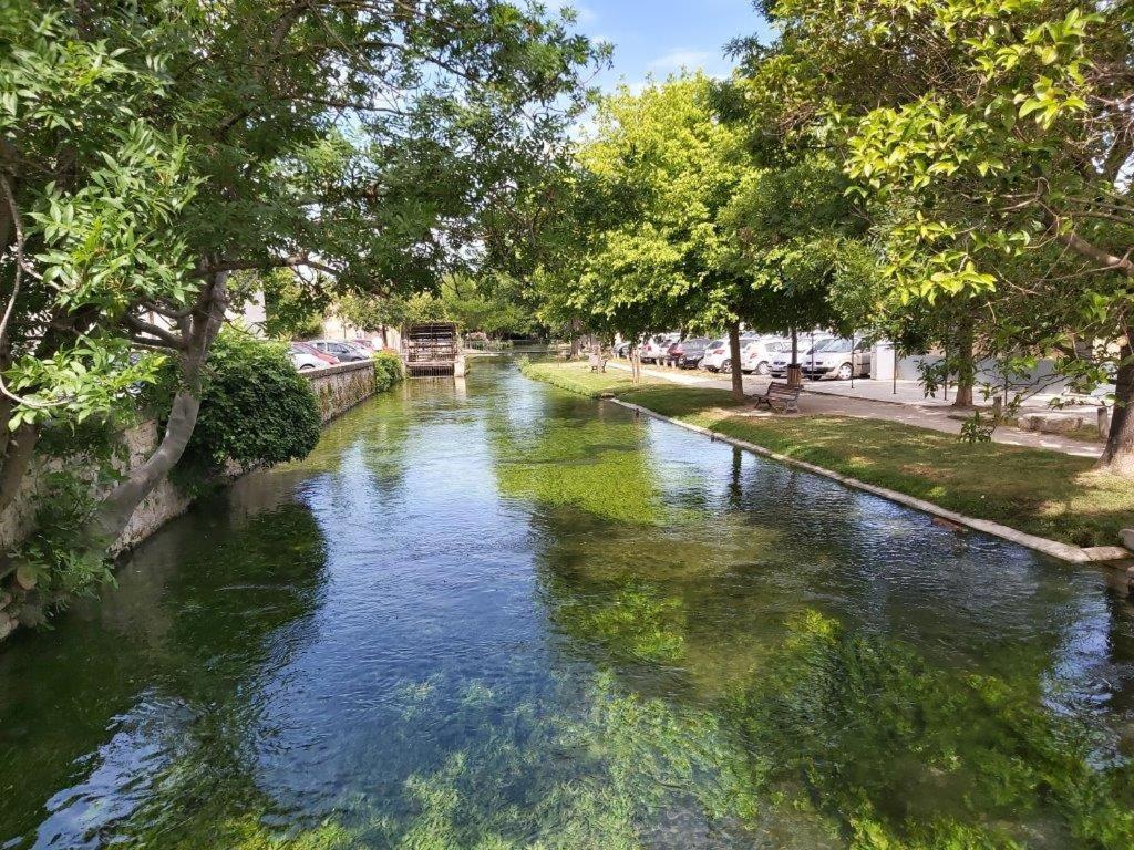 Gite Dans Les Pins Avec Piscine Villa Mazan Esterno foto