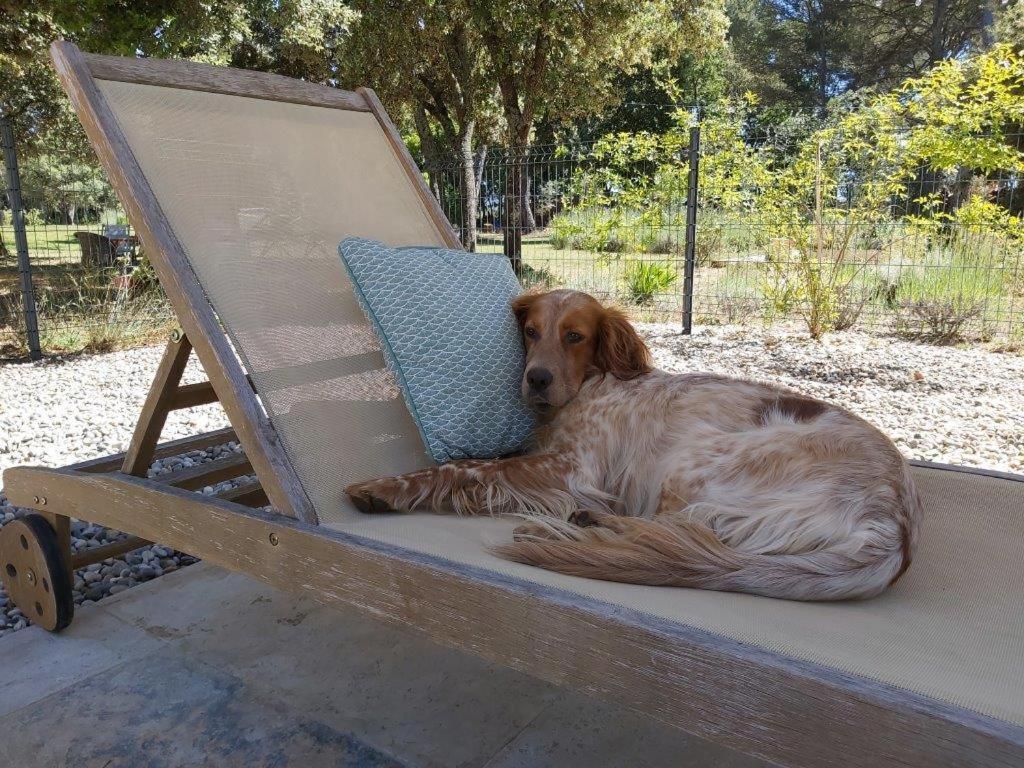 Gite Dans Les Pins Avec Piscine Villa Mazan Esterno foto